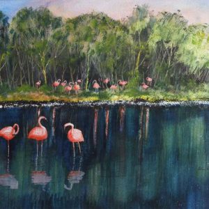 Flamingos at Martin Mere by John Robinson