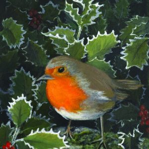 Robin In The Frost by Sandra Winchester