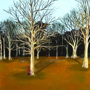 Calderstones Winter Trees by Sandra Winchester